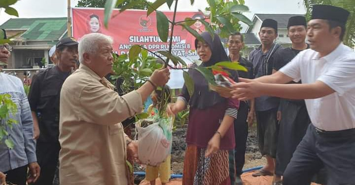 Anggota DPR RI Dapil NTB II/Pulau Lombok, H Rachmat Hidayat saat membagikan bibit pohon.