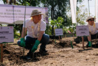 Suasana penanaman sebanyak 254 bibit pohon jenis Mangga dan Kapuk di area SMAN Bali Mandara.