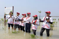 PT. AHM menanam pohon mangrove bakau guna memperkuat upaya penyerapan karbon untuk mitigasi perubahan iklim.