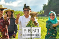 Pj Bupati Lotim, HM Juaini Taofik (tengah) saat melakukan panen bawang putih di Sembalun.