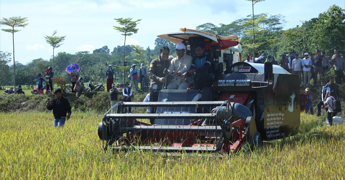 Mentan RI, Andi Amran Sulaiman saat panen padi bersama Sekda Sulawesi Tenggara, Pj Bupati Konawe, dan Anggota Komisi IV DPR RI di sela-sela kunjungan kerjanya di Kabupaten Konawe, Provinsi Sulawesi Tenggara (Sultra), Jumat (27/12/2024).