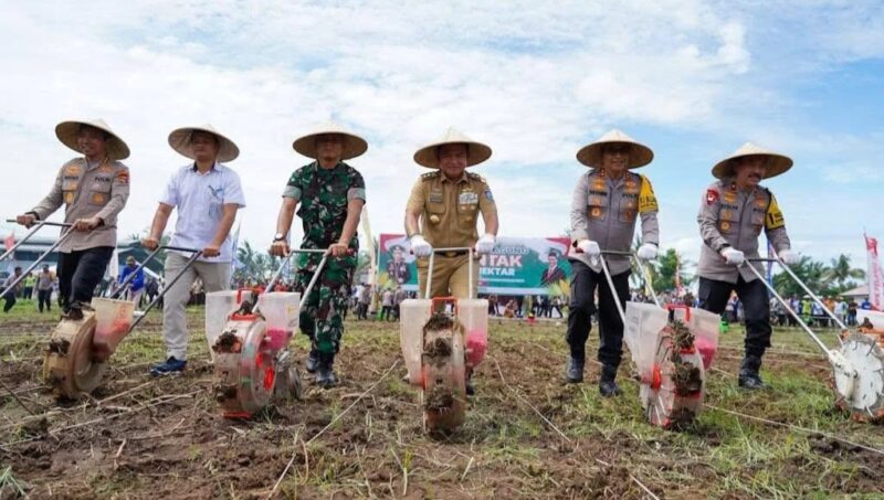 Suasana penanaman jagung secara serentak nasional di atas lahan seluas 4,6 hektare, di Dusun Barang Bantun, Desa Pringgabaya Utara, Kecamatan Pringgabaya, Selasa (21/1/2025).