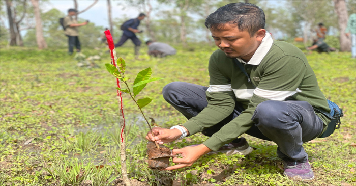 Terlihat aksi tanam bibit pohon di Desa Noimbila, Kecamatan Mollo Selatan, Kabupaten TTS, Provinsi NTT, Selasa (14/1/2025).