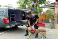 Direktorat Samapta Polda NTB kerahkan enam personel polisi serta satu ekor anjing Polmas K9 berkemampuan SAR untuk bantu cari korban bajir bandang di Bima.