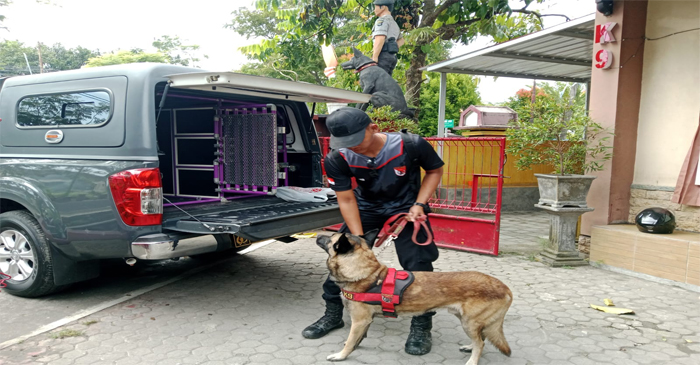 Direktorat Samapta Polda NTB kerahkan enam personel polisi serta satu ekor anjing Polmas K9 berkemampuan SAR untuk bantu cari korban bajir bandang di Bima.