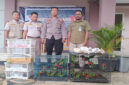 Ini 81 ekor burung berbagai jenis, termasuk satwa dilindungi seperti Perkici Dada Merah, berhasil diamankan di Pelabuhan Lembar, Lobar, Rabu (14/5/2025) sekitar pukul 13.30 Wita.