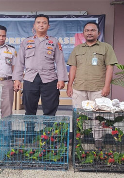 berita-rekomendasi-foto