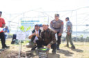 Suasana penanaman bersama bibit pohon di kawasan Persemaian Modern Mandalika, Desa Rembitan, Kecamatan Pujut, Kabupaten Loteng, Jumat (16/5/2025).