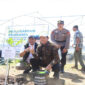Suasana penanaman bersama bibit pohon di kawasan Persemaian Modern Mandalika, Desa Rembitan, Kecamatan Pujut, Kabupaten Loteng, Jumat (16/5/2025).