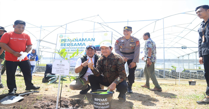 Suasana penanaman bersama bibit pohon di kawasan Persemaian Modern Mandalika, Desa Rembitan, Kecamatan Pujut, Kabupaten Loteng, Jumat (16/5/2025).