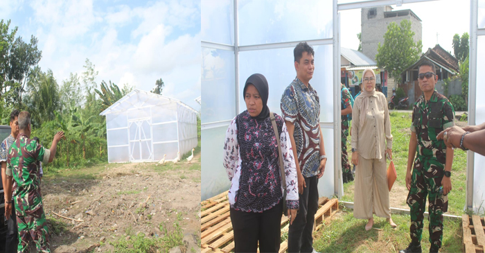 Fasilitas Solar Dryer Dome (SDD) sudah mulai dioperasikan oleh Kodim 1620/Loteng di wilayah binaannya.