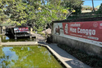 Lesehan Mae Cenggo.