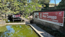 Lesehan Mae Cenggo.