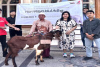 Astra Motor NTB saat menyalurkan hewan kambing ke masjid di Ring 1 Perusahaan dalam menyambut Hari Raya Idul Adha 1446 Hijriah.