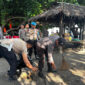 Suasana kegiatan Bakti Sosial Bersih Pantai di pesisir Pantai Kerakas, Desa Segara Katon, Kecamatan Gangga, Kabupaten Lombok Utara (KLU).