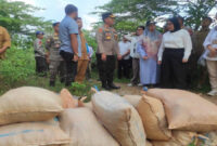Wabup Lombok Barat, Hj Nurul Adha saat mendampingi Wakil Kepala I BP Taskin, Nanik Sudaryati Deyang meninjau langsung lokasi tambang rakyat di Pelangan Mekaki, Kecamatan Sekotong, Lombok Barat.
