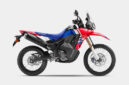 New CRF250 RALLY.