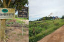 Lahan PT Agro Mekar Lestari (AML).
