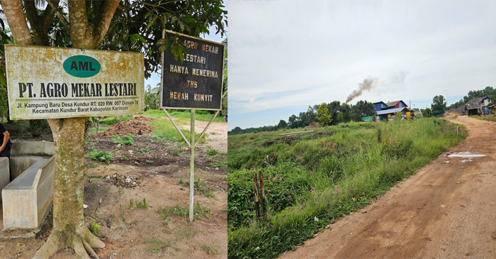 Lahan PT Agro Mekar Lestari (AML).