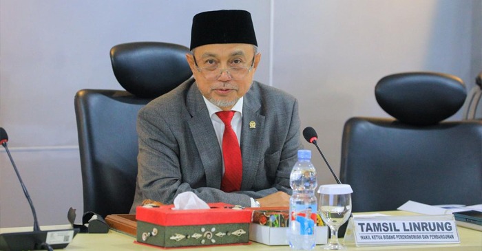 Wakil Ketua DPD RI, Tamsil Linrung.