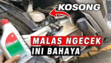 Radiator Motor.