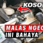 Radiator Motor.