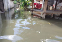 Kondisi rumah warga di Desa Perampuan, Kecamatan Labuapi, Lobar, yang terdampak banjir.