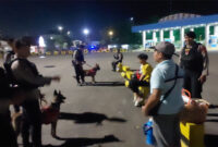 Unit Polisi Satwa (Polsatwa) Direktorat Samapta Polda NTB saat mengerahkan anjing pelacak K9 untuk melakukan patroli intensif di kawasan Pelabuhan Lembar, Kabupaten Lobar.