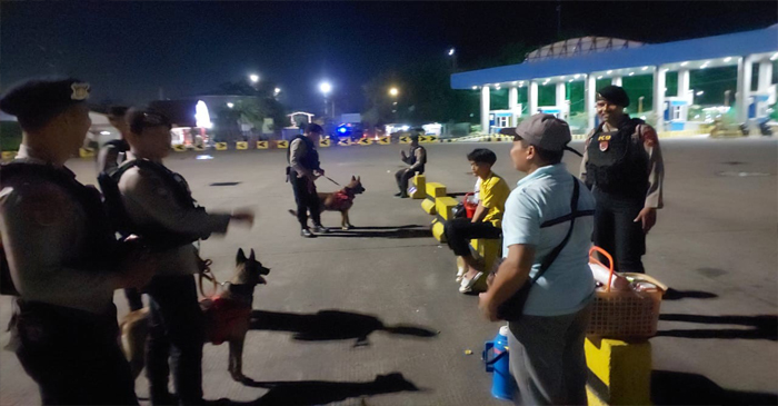 Unit Polisi Satwa (Polsatwa) Direktorat Samapta Polda NTB saat mengerahkan anjing pelacak K9 untuk melakukan patroli intensif di kawasan Pelabuhan Lembar, Kabupaten Lobar.