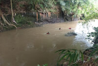 Tim SAR gabungan saat melakukan pencarian remaja 13 tahun yang hanyut di sungai Kuripan, Lombok Barat.