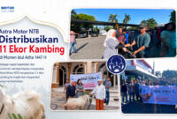 Astra Motor NTB saat menyalurkan sebanyak 11 ekor kambing kurban kepada masjid-masjid di wilayah Ring 1 seluruh jaringan cabang perusahaan di NTB dalam rangka menyambut Hari Raya Idul Adha 1447 Hijriah.