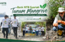 Bank NTB Syariah tanam mangrove di kawasan ekowisata Paremas, Kabupaten Lombok Timur.