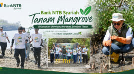 Bank NTB Syariah tanam mangrove di kawasan ekowisata Paremas, Kabupaten Lombok Timur.