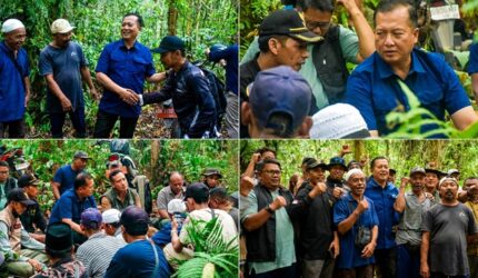 Hutan Sesaot